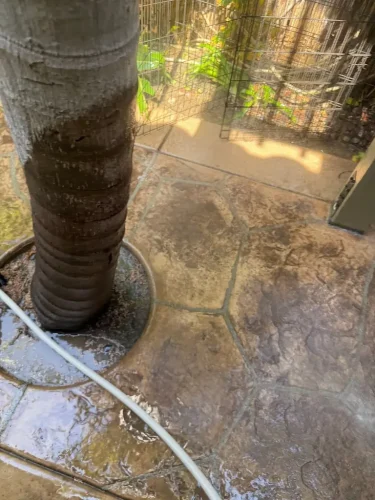 Pressure Washing Service San Diego 1011