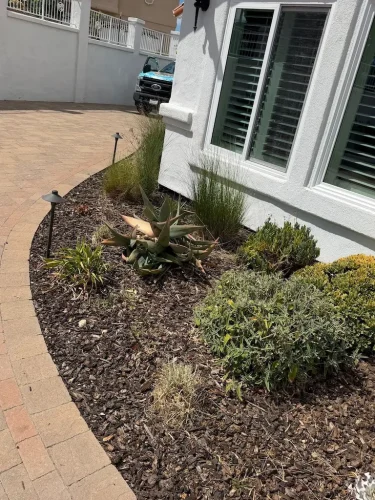Pressure Washing Service San Diego 1047