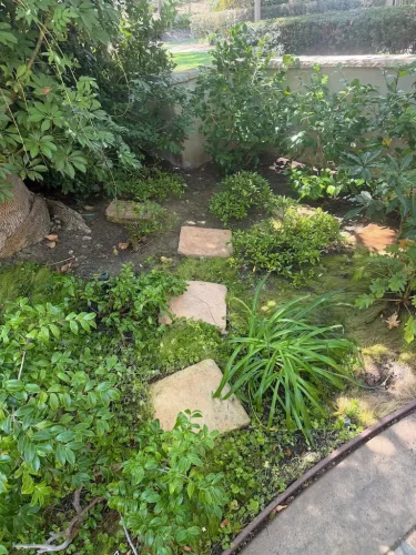 Pressure Washing Service San Diego 1071