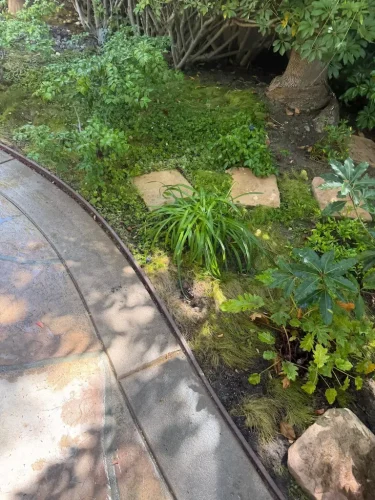 Pressure Washing Service San Diego 1089