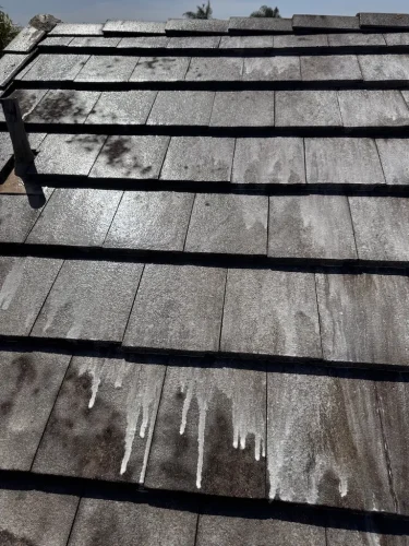 Pressure Washing Service San Diego 1214