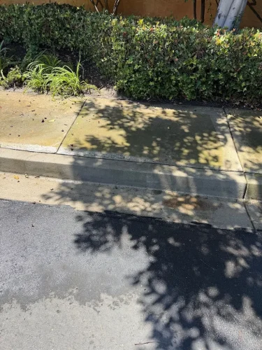 Pressure Washing Service San Diego 154