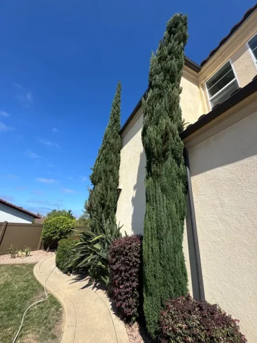 Pressure Washing Service San Diego 1700