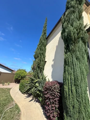 Pressure Washing Service San Diego 1722