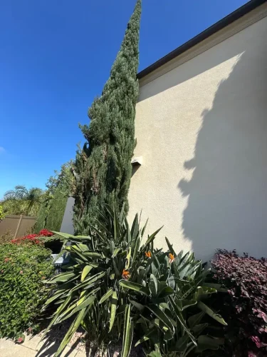 Pressure Washing Service San Diego 1742