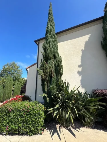 Pressure Washing Service San Diego 1759