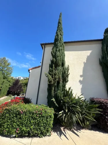 Pressure Washing Service San Diego 1776