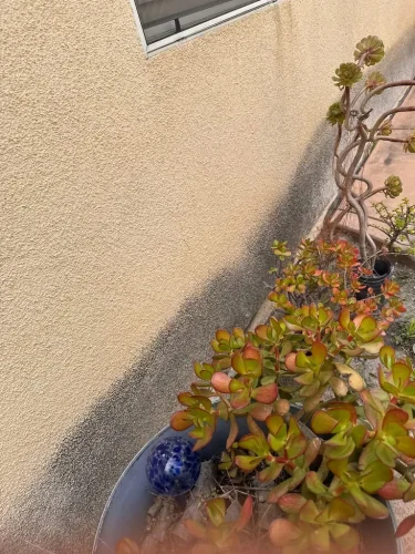 Pressure Washing Service San Diego 1791