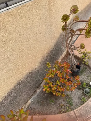Pressure Washing Service San Diego 1824