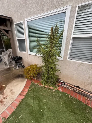 Pressure Washing Service San Diego 1837