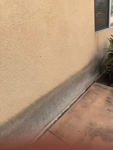 Pressure Washing Service San Diego 1840