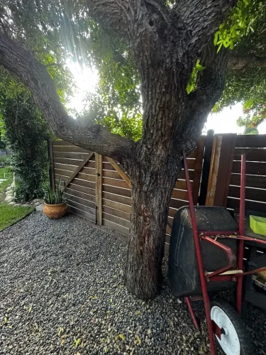 Pressure Washing Service San Diego 1877