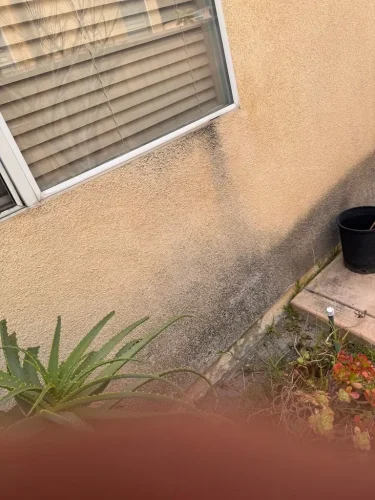 Pressure Washing Service San Diego 1898