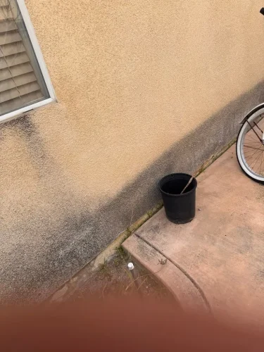 Pressure Washing Service San Diego 1911