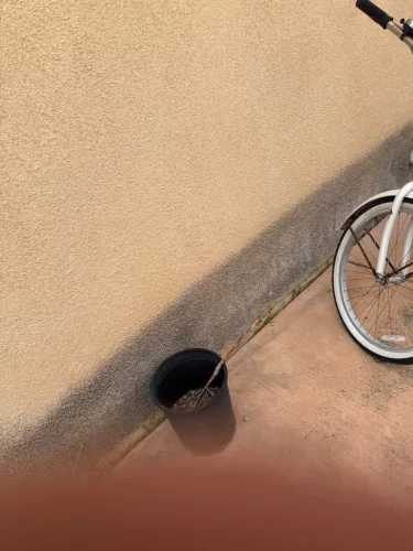 Pressure Washing Service San Diego 1923
