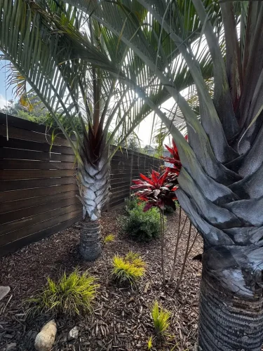 Pressure Washing Service San Diego 1929