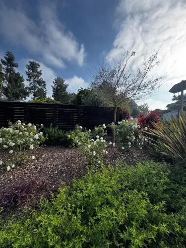 Pressure Washing Service San Diego 1977
