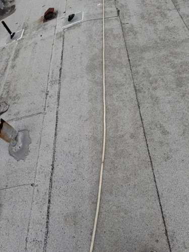 Pressure Washing Service San Diego 1984