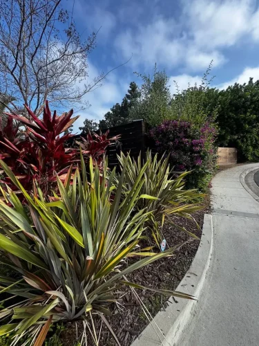Pressure Washing Service San Diego 1989