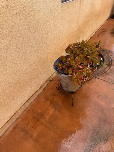 Pressure Washing Service San Diego 2019