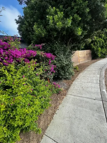 Pressure Washing Service San Diego 2025