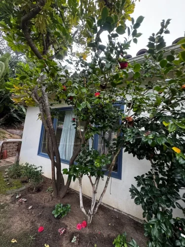 Pressure Washing Service San Diego 2027