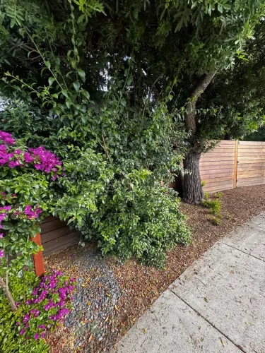 Pressure Washing Service San Diego 2037