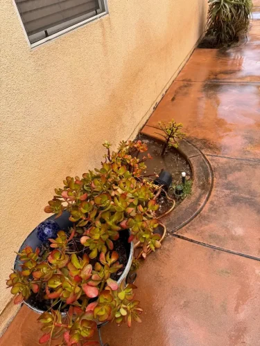 Pressure Washing Service San Diego 2043