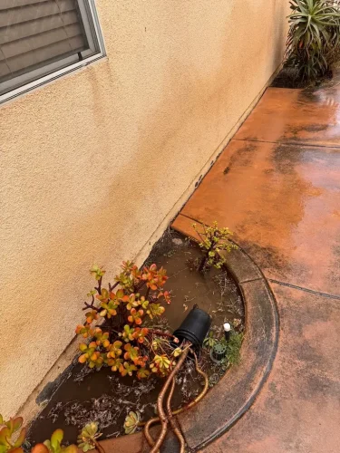Pressure Washing Service San Diego 2055