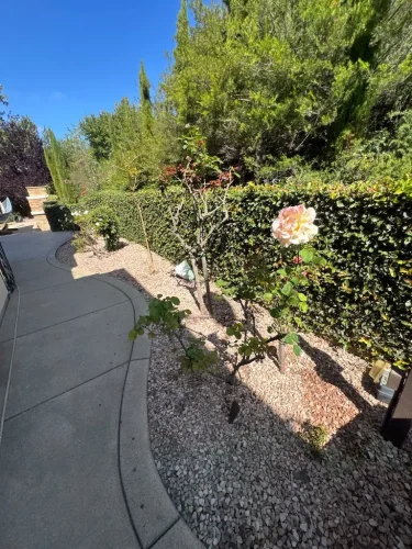 Pressure Washing Service San Diego 2069