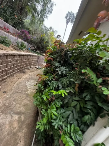Pressure Washing Service San Diego 2075