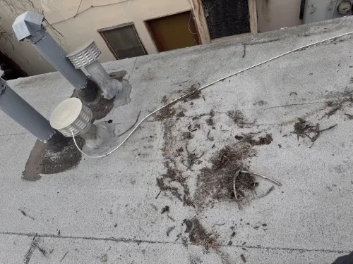 Pressure Washing Service San Diego 2092