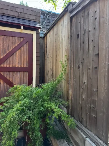 Pressure Washing Service San Diego 2116