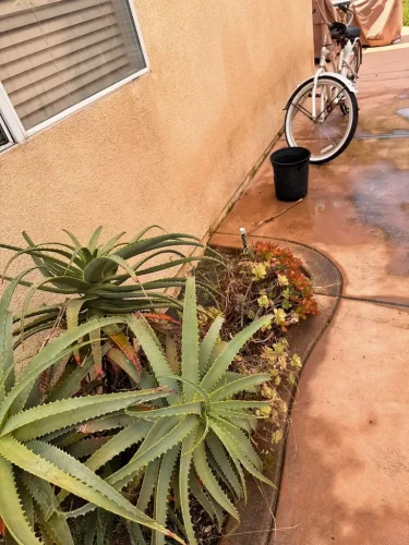 Pressure Washing Service San Diego 2124