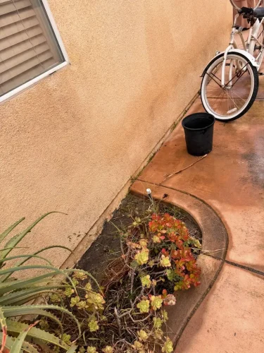 Pressure Washing Service San Diego 2146
