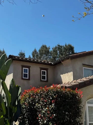 Pressure Washing Service San Diego 2164