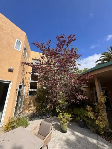 Pressure Washing Service San Diego 2167