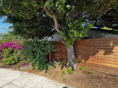 Pressure Washing Service San Diego 2196