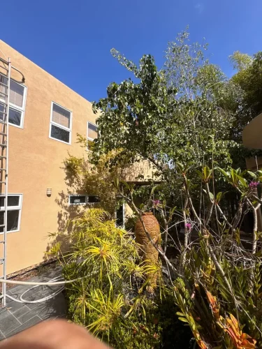 Pressure Washing Service San Diego 2211