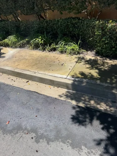 Pressure Washing Service San Diego 222