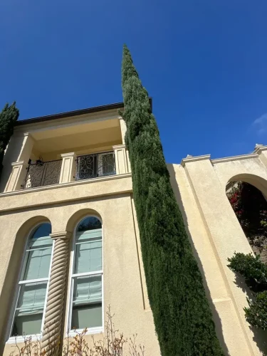 Pressure Washing Service San Diego 2269