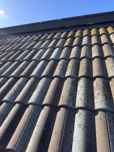Pressure Washing Service San Diego 229
