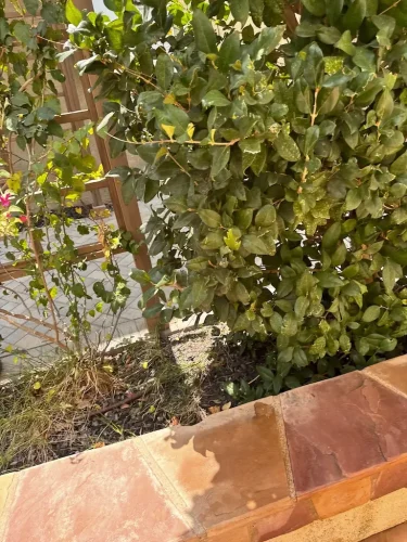 Pressure Washing Service San Diego 2311