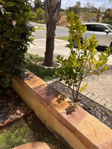 Pressure Washing Service San Diego 2333