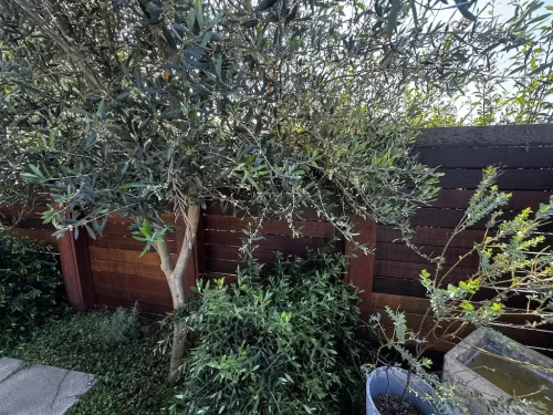 Pressure Washing Service San Diego 2357