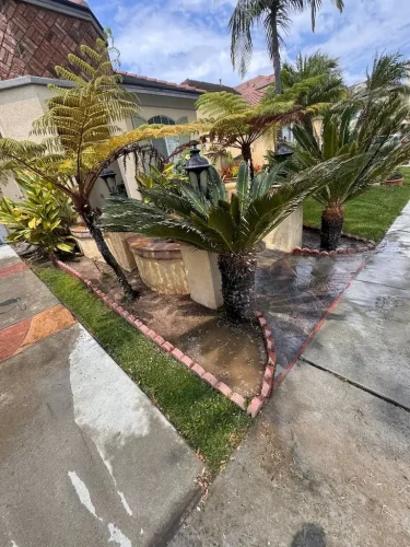Pressure Washing Service San Diego 2405