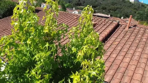 Pressure Washing Service San Diego 246