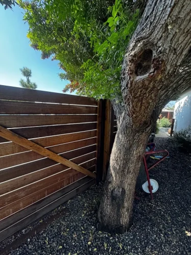 Pressure Washing Service San Diego 2526