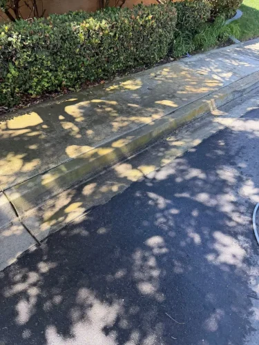 Pressure Washing Service San Diego 256