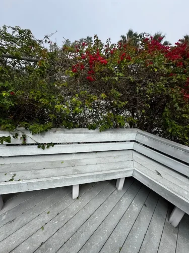 Pressure Washing Service San Diego 2562
